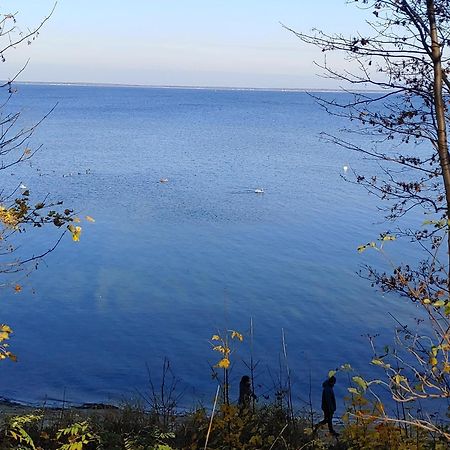 Apartament Delfin Puck Kültér fotó